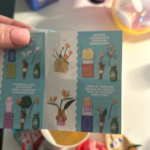 - Mini verse lifestyle series 1, birds of paradise! - Picture 2 of 3